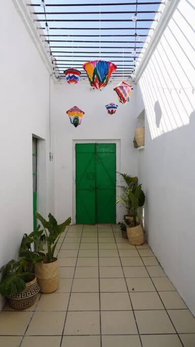 Alberto Departamento En Centro Historico Oaxaca מראה חיצוני תמונה